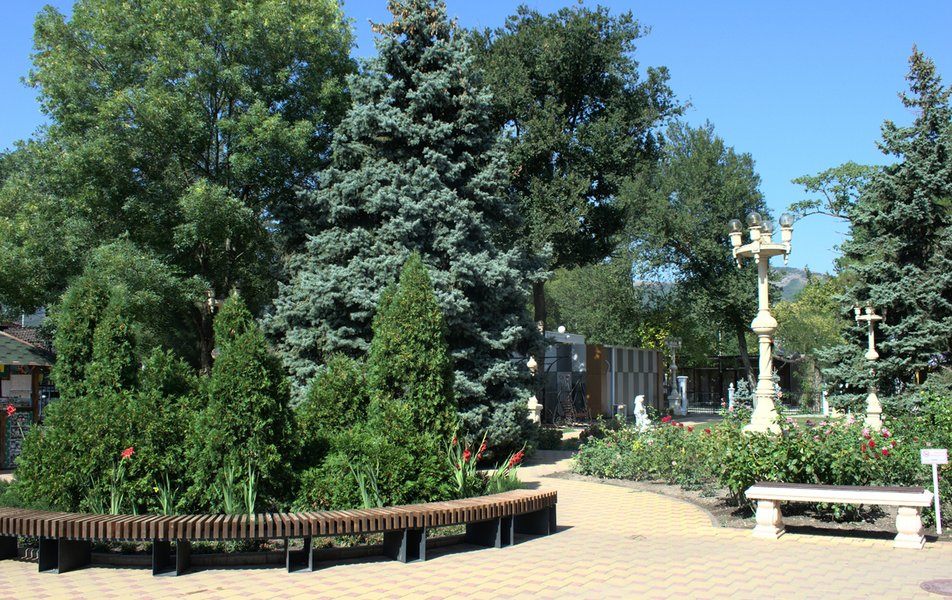 Парковая территория санатория «Жемчужина моря» в Кабардинке — фото 9